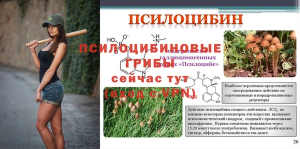 apvp Краснослободск