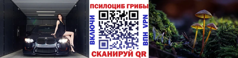 Галлюциногенные грибы GOLDEN TEACHER  Купить где  Можга 